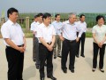 全國政協(xié)副秘書長鄧宗良一行來我司調(diào)研