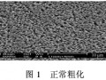 新型Futuron前處理工藝在汽車 塑料件電鍍上的應(yīng)用