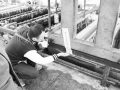 滁州市環(huán)保首次查封直排污水企業(yè)